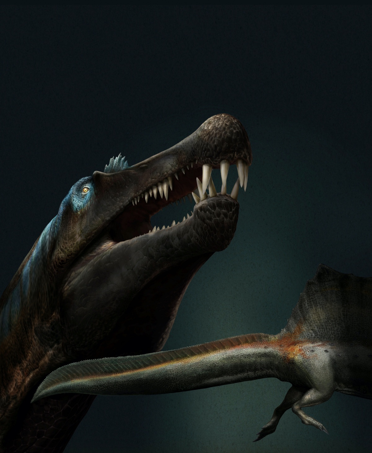 [VIDEO] Spinosaurus, the "River Monster": First Known Swimming Dinosaur