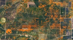 NASA Shared Image of Unexpected Superbloom of Orange Poppies In Southern California As Seen From Space