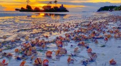 Happy As A Clam: Boracay Beach Front Covered in Clams Has Caught the Attention of Netizens in Social Media 
