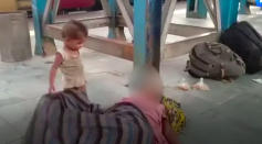 toddler tries to wake up dead mother in India