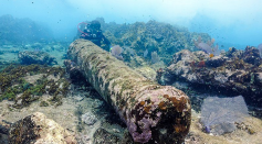200 Year Old Shipwreck Discovered Mexico May Unlock Past Stories to Protect the Future