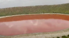 pink Lake Lonar in India