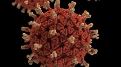 Scientists Create A Mutant Rotavirus in a Virus Assembly Study
