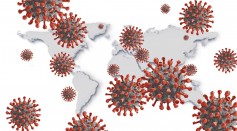 Epidax coronavirus potrtable polymerase chain reaction test