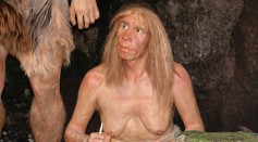 New Study Found DNA Linked To Risk of COVID-19 Inherited From Neanderthals