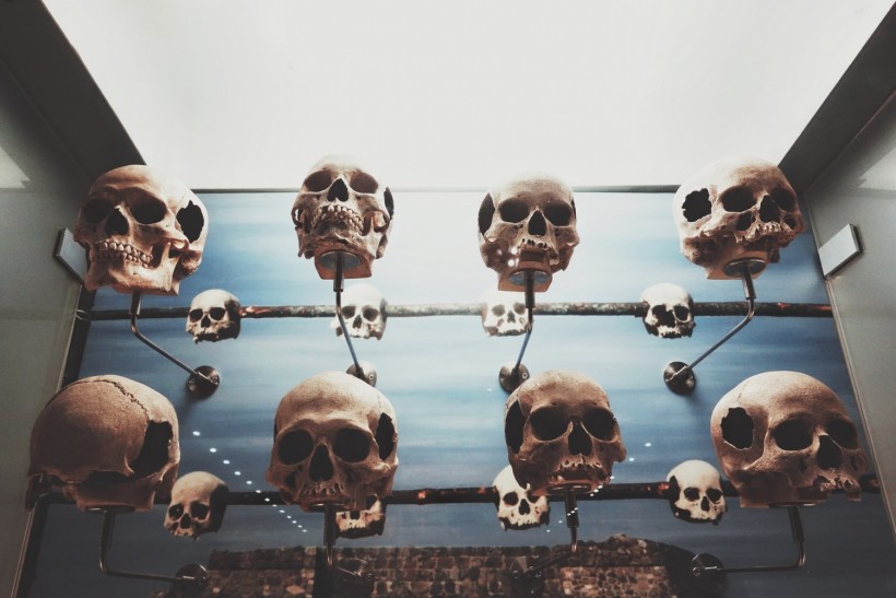 skulls for sale on facebook
