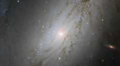 distant galaxy captured by NASA's Hubble Space Telescope 