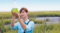 Milking Algae Can Produce Eco-friendly Biofuel