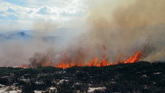 ‘Impossible' Arctic Wildfires Emerged Due to Global Warming
