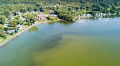 Multiple Toxins are Found in Florida Waters