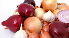 Ancientbiotic: 1,000-Year-Old Medical Manuscript Uses Garlic and Onion as Remedy to Kill Antibiotic-Resistant Bacteria