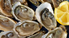 Love Shellfish? New Study Suggests Oysters Might Contain Bacteria, Plastics and Baby Formula