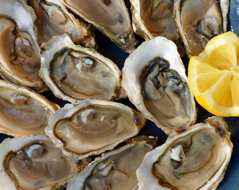 Love Shellfish? New Study Suggests Oysters Might Contain Bacteria, Plastics and Baby Formula
