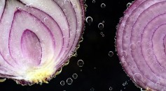 Science Times - Salmonella Outbreak Linked to Onions From Thomson International