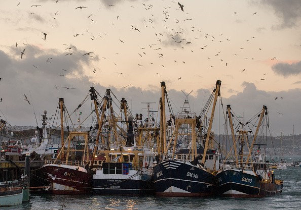 The British Fishing Industry And The European Union