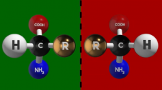 A Visual Representation of Chiral Molecules