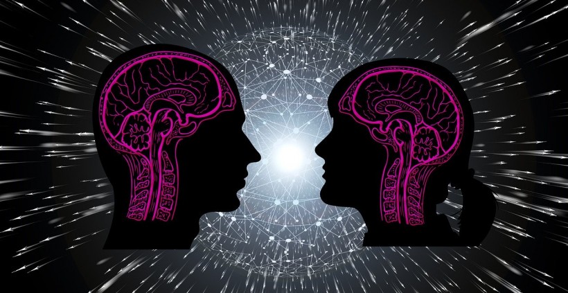 Science Times - Scientists Found No Difference in Men and Women's Brains After 100 Years of Searching
