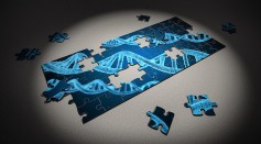 Science Times - Genome Sequencing Tells Us the Auckland Outbreak Is a Single Cluster — Except for One Case