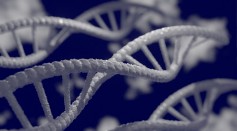Scientists Warn Human Genome Editing Is Not Yet Safe to Try On Humans As It Might Introduce Unwanted Genetic Defects