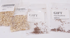 Mysterious Seed Packets May Be Part of an International 'Brushing' Scam