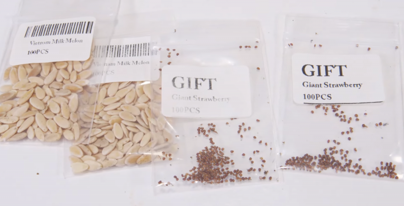 Mysterious Seed Packets May Be Part of an International 'Brushing' Scam