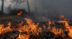 Arctic 'Zombie' Wildfires Release Megatons of Carbon Dioxide