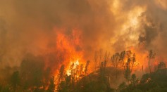 California Wildfire Worsens Due to A Gender Reveal Party