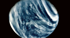 Phosphine Gas in Venus May be Signs of Life
