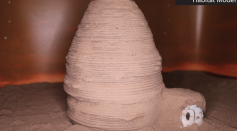 Chitin-Derived Materials Can be Used to Create Tools & Shelter on Mars
