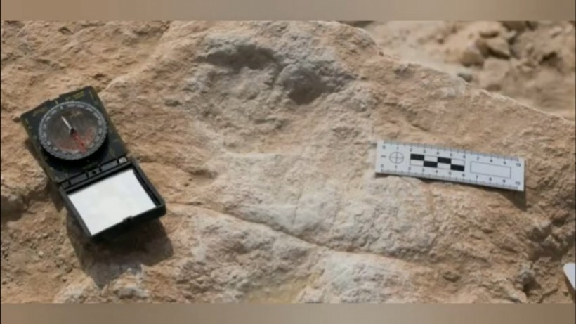 Human Footprints From 120,000 Years Ago Discovered in the Arabian Peninsula