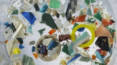Tire Pollution May Be a Significant Plastic Pollutant in Oceans, Researchers Reveal