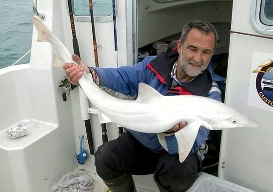 First-Ever Albino Shark Caught Off Britain