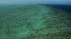Great Barrier Reef Threatened With Extinction 