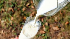Love Milk? Choose What's Good for the Environment