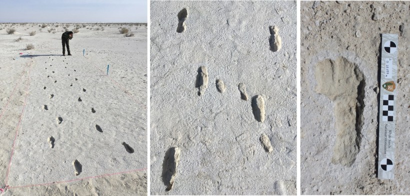 Ancient Footprints Tells a Story of A Parent and Child Making a Daring Journey
