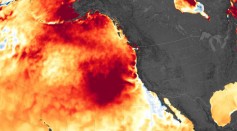 Satellites Detected the Largest, Warmest Marine Heatwave, 