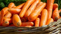 Vitamin A During Winter Helps Burn Fat To Keep The Body Warm, Study Shows