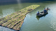 The Wild Mile: Chicago's Floating Gardens for Urban Habitat Restoration