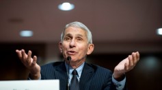 Dr. Fauci Says to Focus on Hand Hygiene Instead Than Wiping Grocery Bags