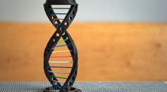 Everything You Need To Know About Gene Editing