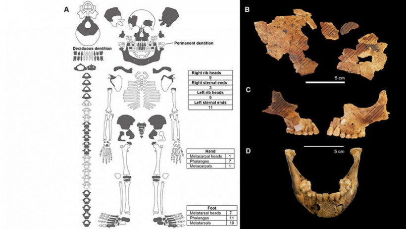 Scientists Reveal Rare Burial Practice of A Dismembered Child 8,000 Years Ago 