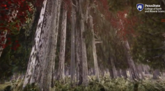 Virtual Reality of Wisconsin Forest Takes Strollers to 2050