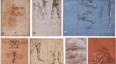  New Research Reveals The World of Tiny Life Forms in Da Vinci's Drawings