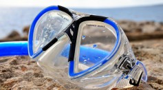 Science Times - Snorkeling Gear, Nasal Cavities of Animals Are More Effective PPEs