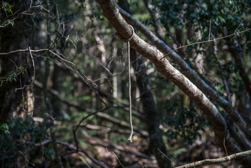 Japan's Suicide Forest