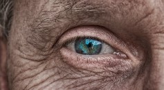 Science Times - Scientists Uncover Approach That Could Reverse Age-Related Vision Loss