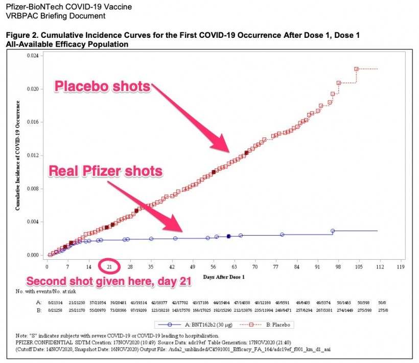 Pfizer/BioNTech COVID-19 vaccine chart
