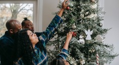 Science Times - 5 Ways to Reduce Your Christmas Tree’s Carbon Footprint