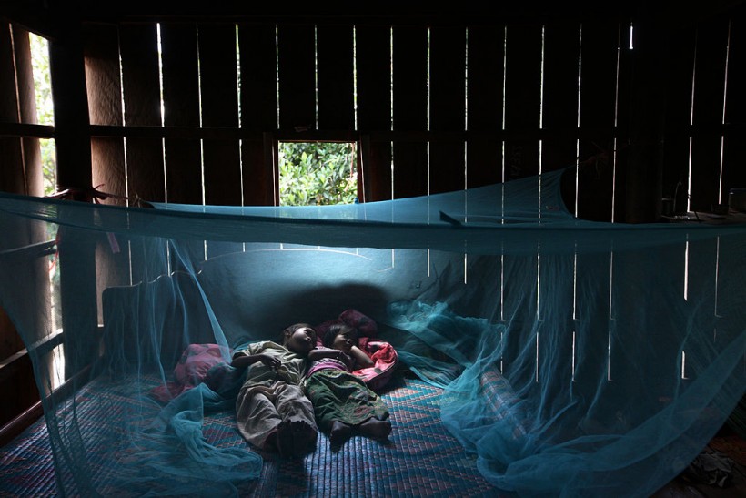 WHO Makes Progress Battling Drug Resistant Malaria In Cambodia