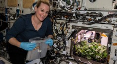  Growing Plants In Space: Astronauts Eats First Radish Grown in Space
